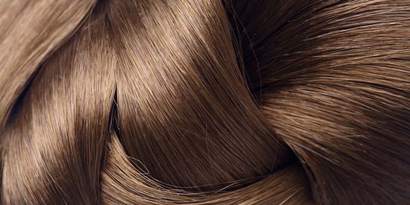Chennai Hair Suppliers Success Stories of Global Brand Growth